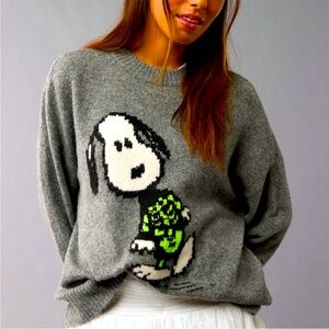 American Eagle Snoopy Halloween Sweater AE Snoopy Sweater